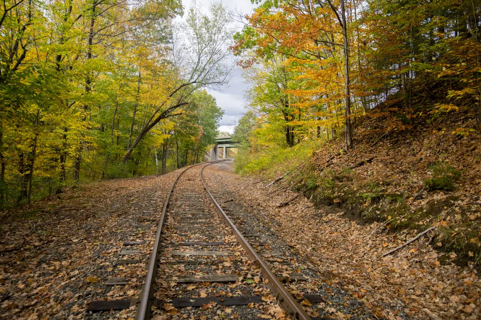 Autumn forest jigsaw puzzle