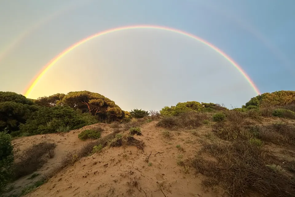 Rainbow sky jigsaw puzzle
